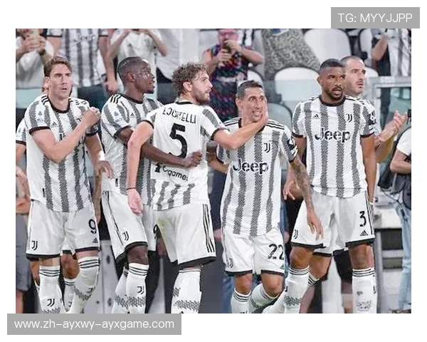 关于意甲联赛缩减球队数量的讨论及未来展望