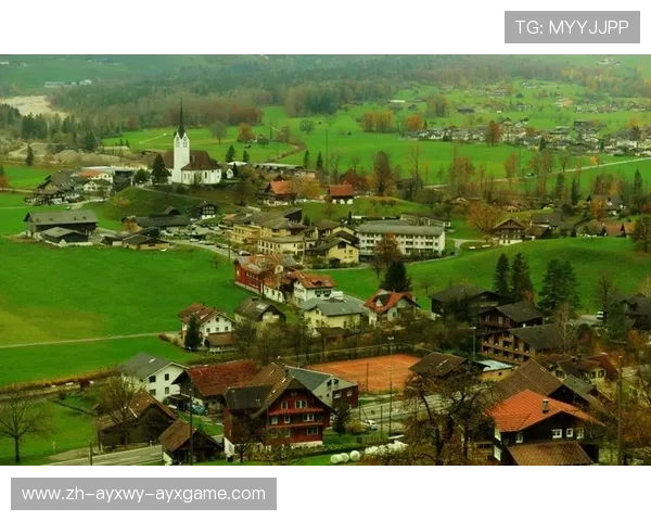 《德甲老牌俱乐部因财务问题走向破产的真实原因》 《德甲老牌俱乐部因财务问题走向破产的真实原因》